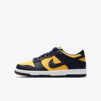 Nike Dunk Low (GS) Michigan (2021/2024)
