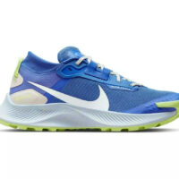 Nike Pegasus Trail 3 Gore-Tex Sprite