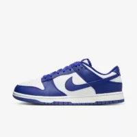Nike Dunk Low "Concord"