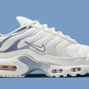 Nike Air Max Plus Ashen Slate