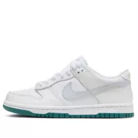 Nike Dunk Low (GS) 'White Grey Teal'