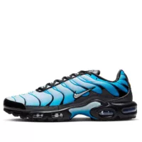 Nike Air Max Plus Blue Gradient