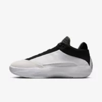 Air Jordan 40 "The Classic"