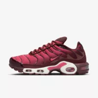 Nike Air Max Plus “Burgundy Crush”