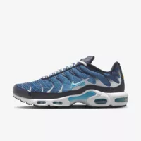 Nike Air Max Plus Dark Obsidian