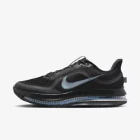 Nike Pegasus Premium Black Metallic Silver