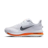 Nike Pegasus Premium Airscape